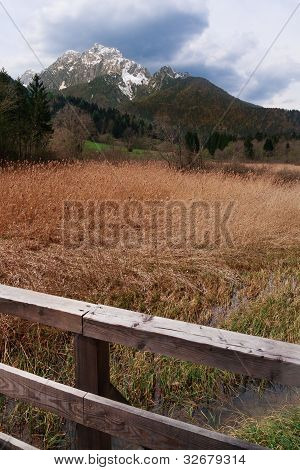 Pohled Planica