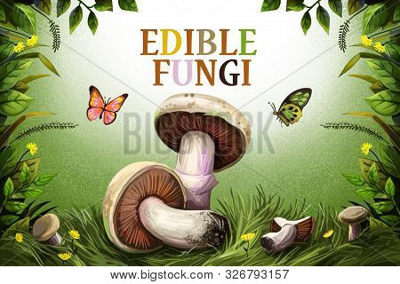 Edible Fungi Isolated White Mushrooms On Background Of Green Grass, Cover Design. Digital Art Illust