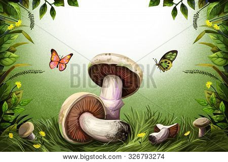 Edible Fungi Isolated White Mushrooms On Background Of Green Grass, Cover Design. Digital Art Illust