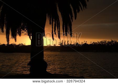 Palm Tree Profile Placed Perfectly Eclipsing The Sunset