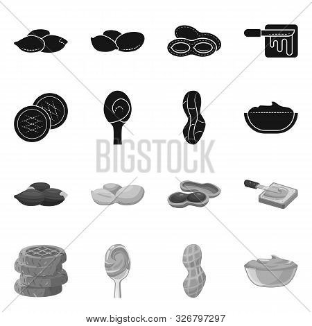 Vector Illustration Of Natural And Seed Icon. Set Of Natural And Groundnut Stock Vector Illustration