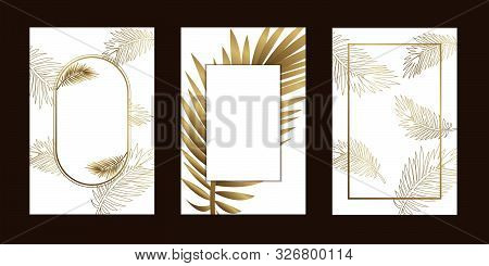 Invitation Cards  Elegant Leaf Outline Gold White Background  With Frame Vector Illustration