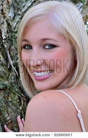 Podle paperbark tree