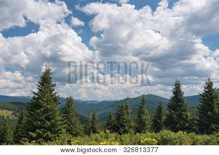 Summer Landscape In The Carpathian Mountains. View From The Mountain Peak Hoverla. Ukrainian Mountai