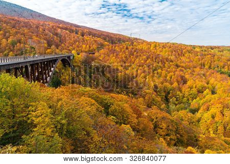 Autumn Fall Landscape of Forest and woods with Jogakura Ohashi Bridge in Aomori Tohoku Japan