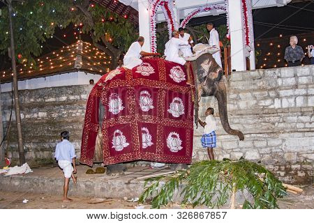 Kandy, Sri Lanka - Aug 11, 2005: People Prepare The Elefant For Participation At The Festival Pera H