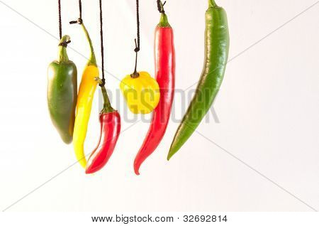 hanging chilli peppers