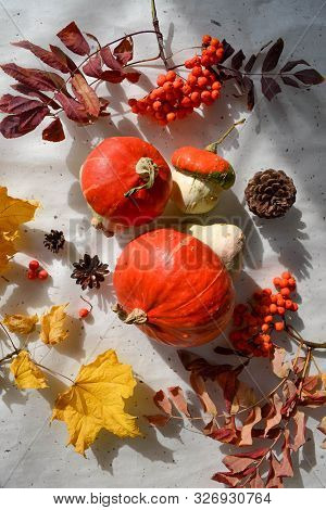 Cozy Autumn Background. Flat Lay Photo. Fall Pumpkin Harvest On Hand Made Rice Paper. Ountry Concept
