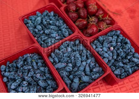 A Closeup View Of Haskap Berries (lonicera Caerulea), A Superfood Rich In Antioxidants, For Sale In 