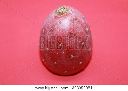 Single Prickly Pear Fruit On A Red Background
