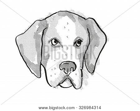 Retro Cartoon Style Drawing Of Head Of An American Foxhound  , A Domestic Dog Or Canine Breed On Iso
