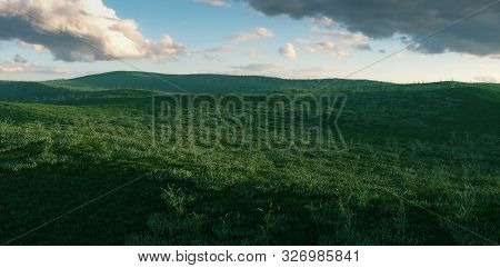 Fresh Spacious Grass Meadow In Beutifull Evening Light. 3d Rendering.