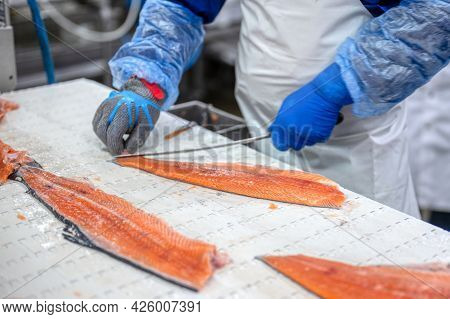 The Process Of Manual Filleting Of Red Fish. The Worker Cuts The Fish Into Pieces With A Knife. Fish