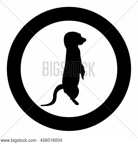 Meerkat In Pose Suricata Suricatta Silhouette In Circle Round Black Color Vector Illustration Solid 