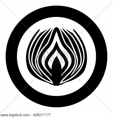 Onion Cut In Half Part Bulbs Chopped Sliced Vegetable Silhouette In Circle Round Black Color Vector 