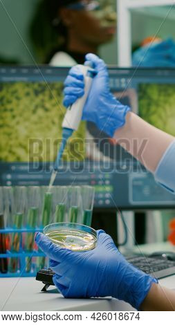 Scientist Woman Taking Genetic Solution From Test Tube With Micropipette Putting In Petri Dish Analy