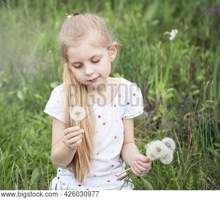 Little Girl With White Dandelions In Her Hands