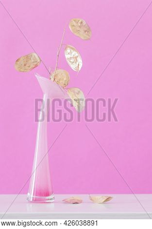 Golden Dried Moonflowers In Vase On Pink Background