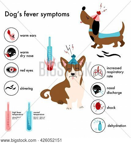 Dog`s Fever Symptoms.infographic Icons With Different Signs And Reasons Of High Temperature.canine H