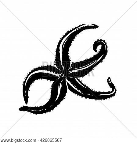 Asteroidea Sea Star - Tropical Underwater Life Black And White Vector Outline Design