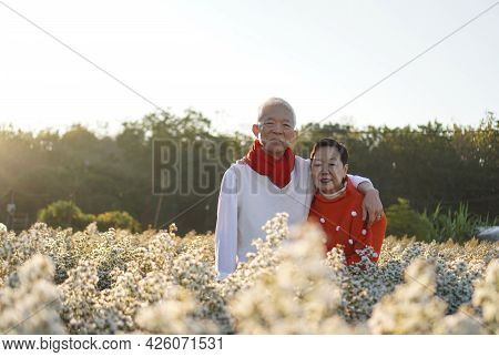Asian Senior Eldery Couple Hug Sweater Celecrate Christmas And New Year Holiday Morning In Beautiful