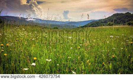 Summer Landscape In The Mountains After Rain