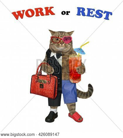 One Half Of A Beige Cat Dressed In A Suit Holds A Briefcase And The Other Half Dressed In Shorts Hol