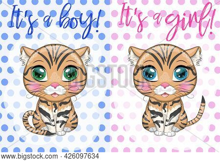 Black Footed Cat With Beautiful Eyes In Cartoon Style
