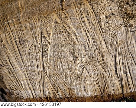The Texture Of The Sawn Wood Close-up. On The Wooden Surface, Grooves Of Various Shapes Are Visible,