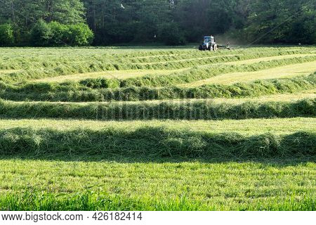 Agricultural Machinery, The Rake Rakes Dry Grass Before Loading It On A Trailer