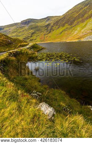 Lily Pads In Cwmorthin Lake In Hanging Valley.