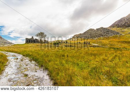 Ruined Terrace Of Slate Buildings In Wilderness.