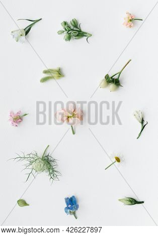 Various fresh flowers pattern on white background
