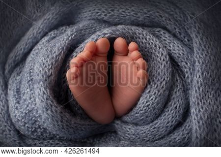 Feet Of A Newborn Close-up In A Woolen Blanket. Pregnancy, Motherhood, Preparation And Expectation O