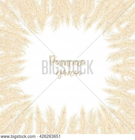 Dry Pampas Grass Frame. A Place For Text, A Place For Copying. Vector Illustration. Decor. Vector Il