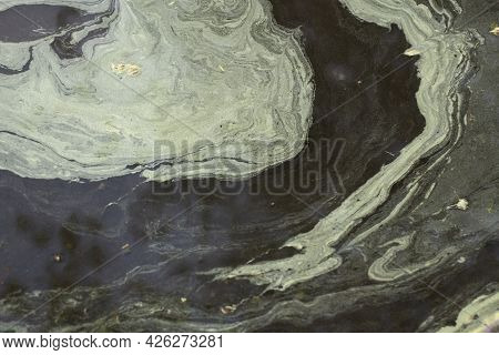 Pollen In A Puddle. Beautiful Stains In The Water. Brownian Motion Of Particles In A Liquid. Spring 