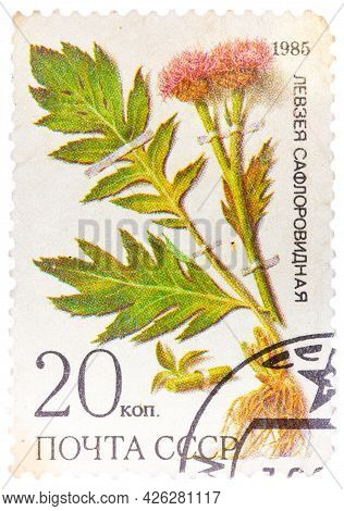 Ussr - Circa 1985: A Stamp From Ussr, Shows Medicinal Plant From Siberia, Circa 1985