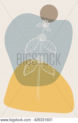 White Horehound, Abstract, Poster, Minimal Dd Ww
