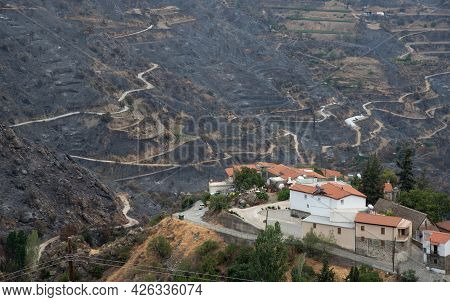 Mountain Fire With Burned Land And Disaster On Agriculture At The Village Of Odou Cyprus. Environmen