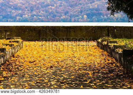 Beautiful Autumn Path On A Sunny Day. Autumn Season With Fallen Leaves In Autumn Colorful Park Alley