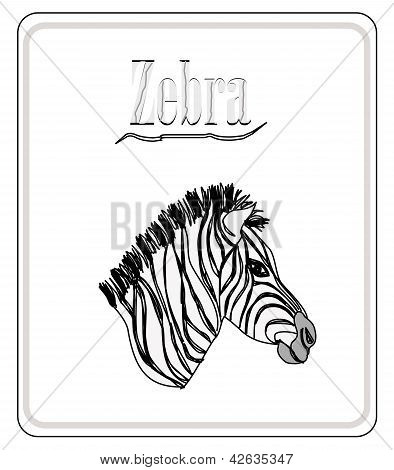 Zebra. handgezeichnete Skizze isoliert auf weiÃŸem Hintergrund