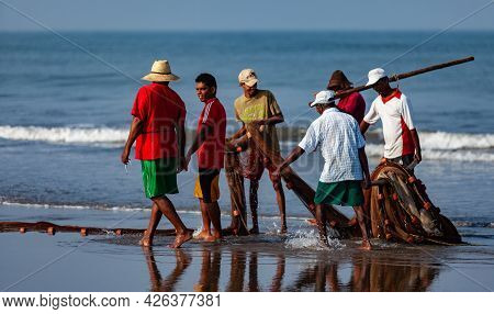 Morjim, North Goa, India , 01 April 2016 Local Fishermen Are Considering The Catch