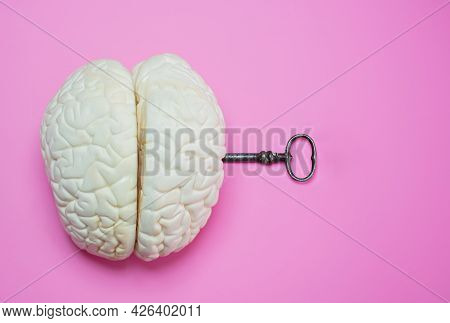 Key To The Human In Brain Opening Mind Enigma