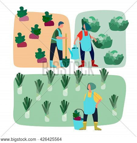 People Doing Agricultural Works On Vegetable Patch. Vector Flat Illustration. Harvesting, Gardening,