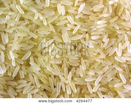 Cultura de grão arroz - alimento útil