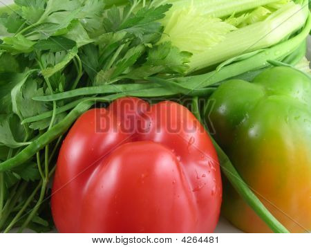 O búlgara, pimenta, cebola, aipo em talos