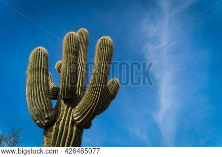 View of the mountains at Papago Park In Phoenix, Arizona
