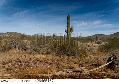 View of the mountains at Papago Park In Phoenix, Arizona