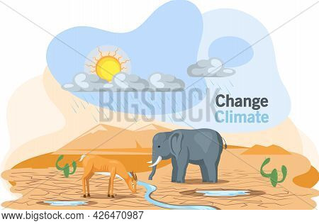 Problem Of Disappearing Water Sources, Drought, Ecological Disaster On Planet Animals Are Thirsty. C