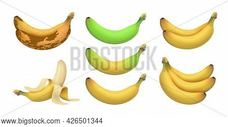 Isolated Realistic Banana. Tropical Bananas, Exotic Fruits. Ripeness Levels From Green Underripe To 